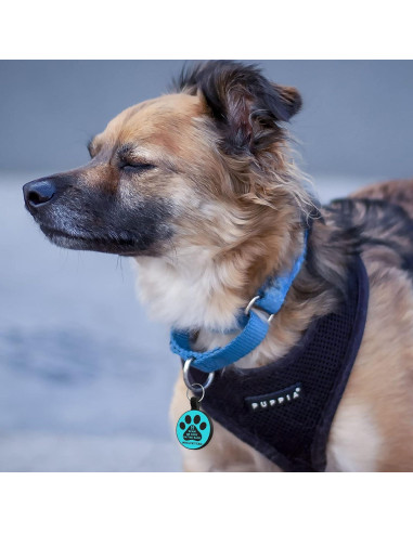 Etiqueta de Identificación QR para Mascotas MYLUCKYTAG - Silicona, Personalizable