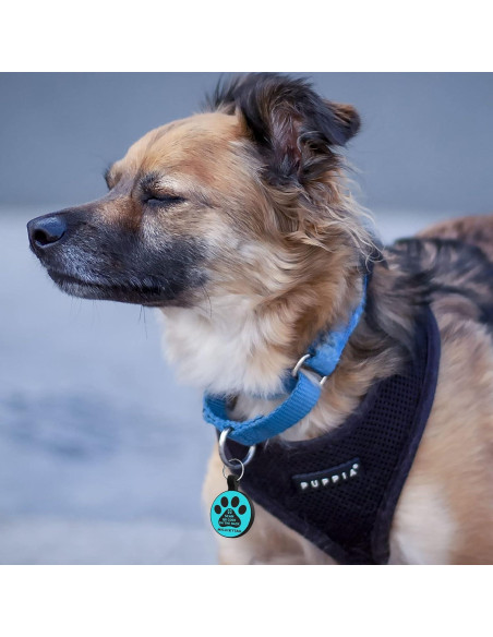 Etiqueta de Identificación QR para Mascotas MYLUCKYTAG - Silicona, Personalizable