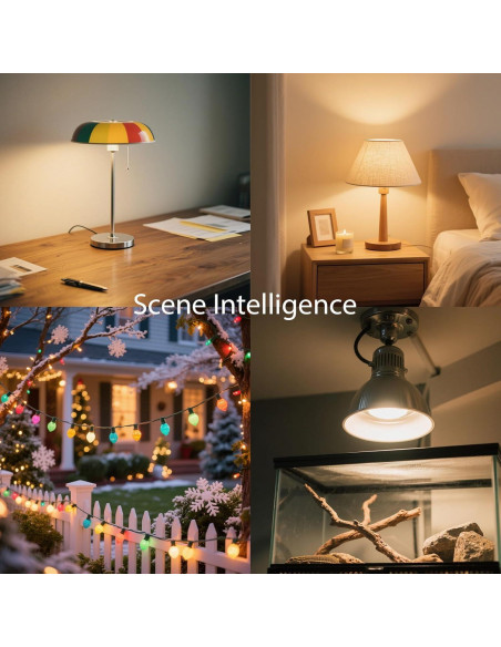 Interruptor Regulable Leymays 1.8M para Lámparas 100W Negro