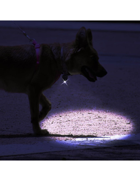 Paquete de 10 Linternas LED Mini RaySoar Púrpura 12 Lúmenes