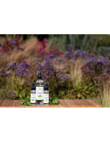 Aceite de Eucalipto Puro EuroSpa Aromatics 60 ml Spray Ducha