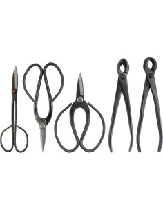 Juego de Herramientas para Bonsai BambooMN - 5 Piezas 2