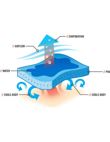 Banda Refrigerante Ergodyne Chill-Its 6603 - 10x75 cm Azul