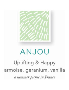 Jabón Zents de Manos y Cuerpo Anjou 295 ml - Hidratante Antienvejecimiento 2