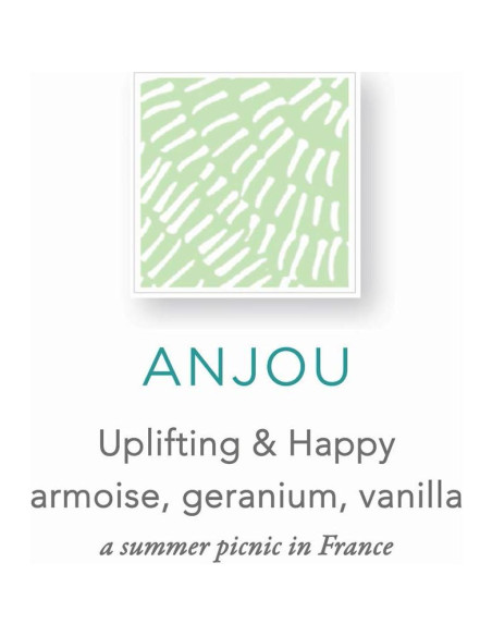 Jabón Zents de Manos y Cuerpo Anjou 295 ml - Hidratante Antienvejecimiento