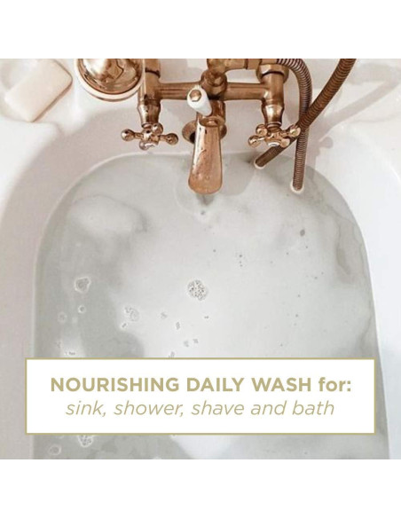 Jabón Zents de Manos y Cuerpo Anjou 295 ml - Hidratante Antienvejecimiento