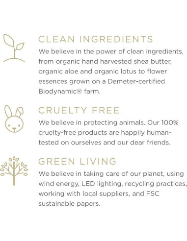 Jabón Zents de Manos y Cuerpo Anjou 295 ml - Hidratante Antienvejecimiento