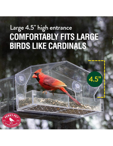 Comedero para Aves de Ventana Perky-Pet 347 Claro 0.45 kg