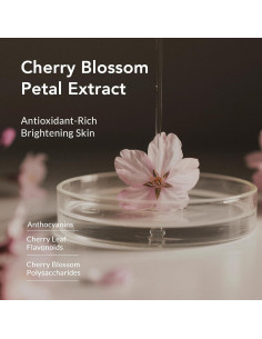 Gel de Ducha Kustie 100ml Flor de Cerezo Hidratante 2