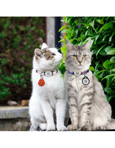 Etiqueta de Identificación QR para Mascotas Icitekwan Negra M