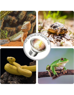 Paquete de 2 bombillas de calor UVA UVB 25W KOHEOPT para reptiles 2