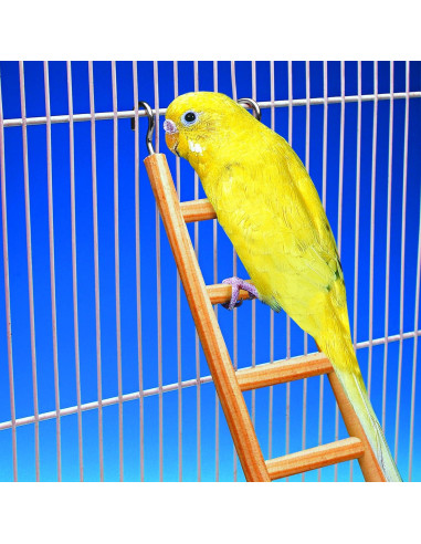 Escalera de Madera para Aves Penn-Plax 7 Pasos 37 cm