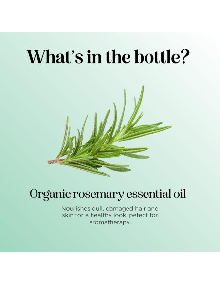 Aceite Esencial de Romero Orgánico 30 ml - Maple Holistics