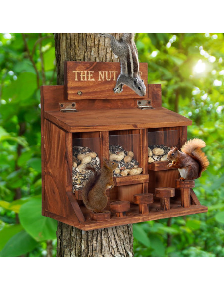 Alimentador de Ardillas MIXUMON de Madera con 3 Compartimentos