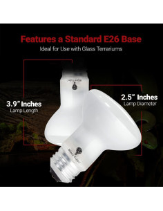 Paquete de 4 bombillas de calor 50W Bluex Bulbs para reptiles 2
