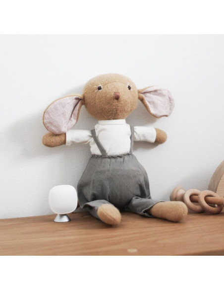 Paquete de Seguridad para el Hogar ecobee - SmartCamera + 2 Sensores