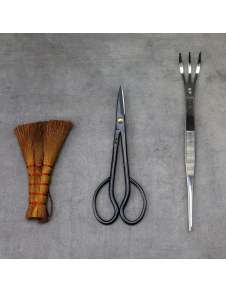 Kit de Herramientas para Bonsai Wazakura - Set 3 Piezas