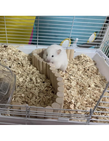 Puente Bendy de Madera Natural para Hámster 40x6 cm