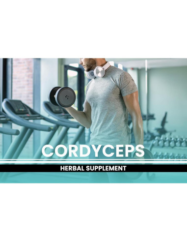 Cápsulas de Cordyceps 730 Unidades Ingredientes Originales Puros