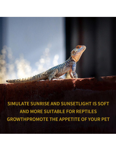 Lámpara de Calor Reptil KOHEOPT 75W UVA 2 Paquete