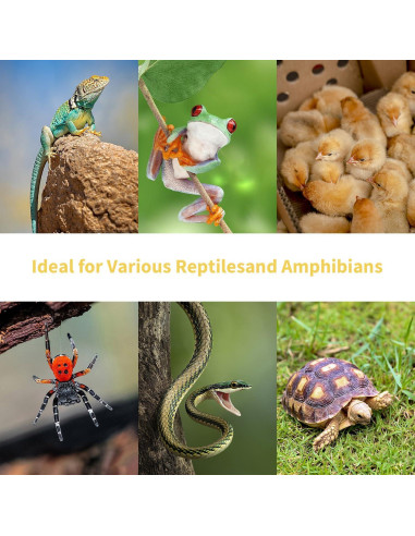 Lámpara de Calor Reptil KOHEOPT 75W UVA 2 Paquete