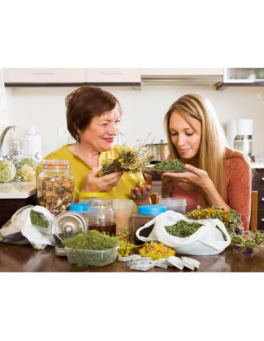 Suplemento Menopausia DrFormulas 60 Cápsulas Herbal para Sofocos