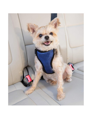 Arnés de Seguridad para Perros PetSafe Happy Ride Pequeño