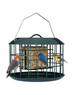 Alimentador de Aves a Prueba de Ardillas Kingsyard Verde Metal