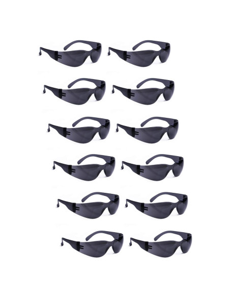 Gafas de Seguridad ROAR Humo 12 Pares Lente Resistente