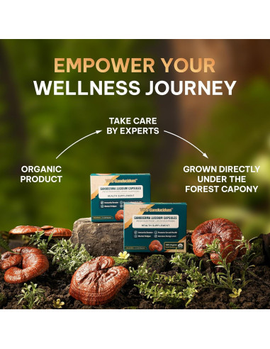 Cápsulas de Hongo Reishi Rojo Ganoderma lucidum 70mg 30 Unidades