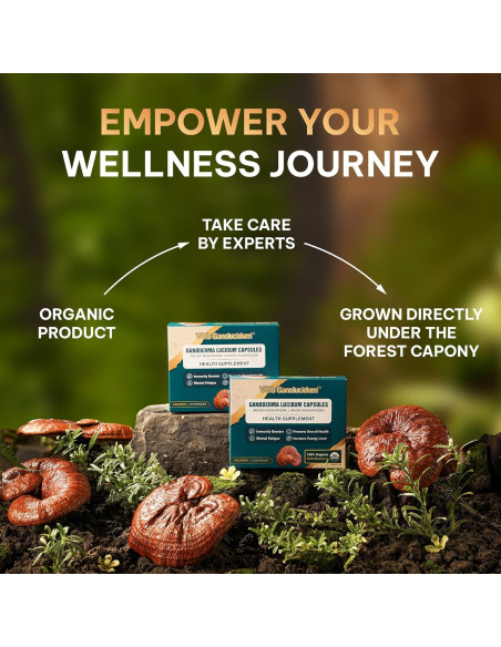 Cápsulas de Hongo Reishi Rojo Ganoderma lucidum 70mg 30 Unidades