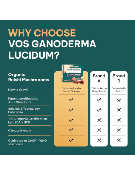 Cápsulas de Hongo Reishi Rojo Ganoderma lucidum 70mg 30 Unidades