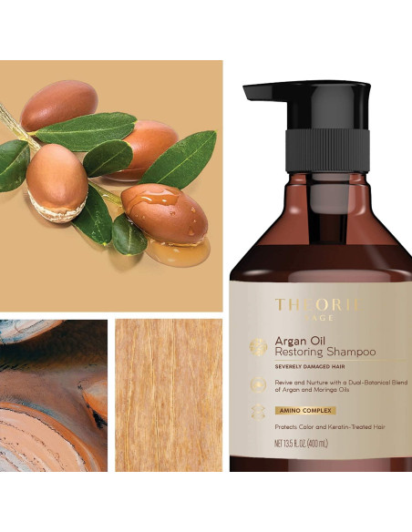 Acondicionador Restaurador Theorie 400 ml Aceite de Argán
