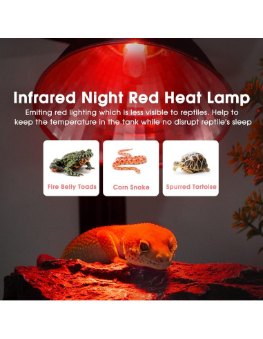 Bombillas de Calor Infrarrojo Briignite G9 para Reptiles 50W