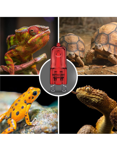 Bombillas de Calor Infrarrojo Briignite G9 para Reptiles 50W