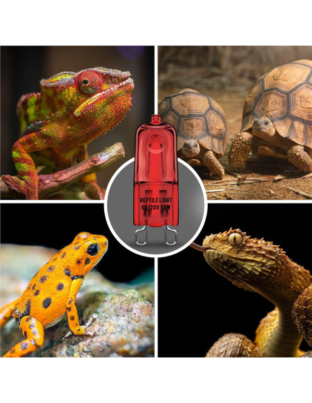 Bombillas de Calor Infrarrojo Briignite G9 para Reptiles 50W