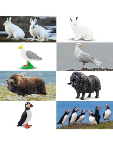 Toymany 14PCS Figuras Mini Animales Árticos Juguetes Educativos