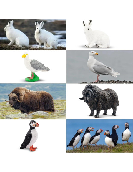 Toymany 14PCS Figuras Mini Animales Árticos Juguetes Educativos