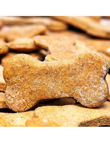 Juego de Cortadores de Galletas Hueso de Perro MrCookie 5 Piezas
