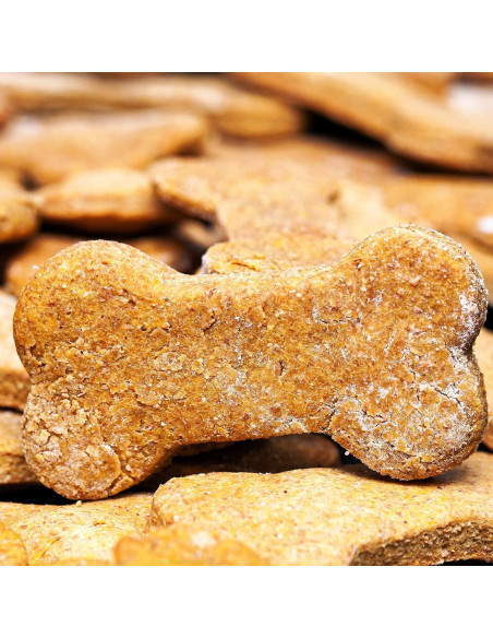 Juego de Cortadores de Galletas Hueso de Perro MrCookie 5 Piezas