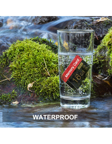 Paquete Doble de Tarjetas de Memoria Micro 16GB ESHAKHARE C10 U3