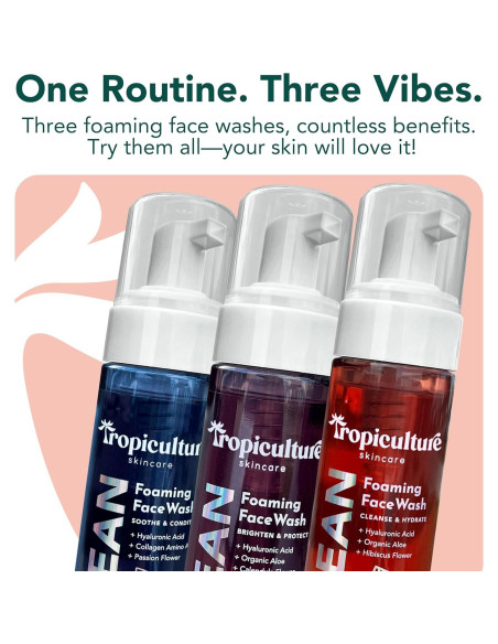 Limpiador Facial Espumoso Tropiculture Baya Brillante 226g Limpiador Facial Espumoso Tropiculture Baya Brillante 226g