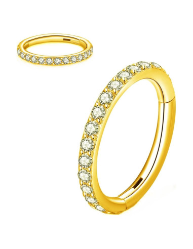 Anillo de nariz segmentado con bisagra L7L7WM 316L Oro 16G 6mm