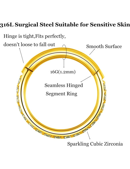 Anillo de nariz segmentado con bisagra L7L7WM 316L Oro 16G 6mm Anillo de nariz segmentado con bisagra L7L7WM 316L Oro 16G 6mm