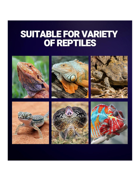 Lámpara de Calor Nocturna para Reptiles REPTI ZOO 75W E26/E27