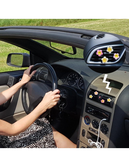 6 Clips Ambientador de Aire para Auto UPCSKDA Flor de Huevo