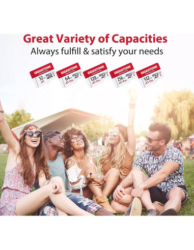 GIGASTONE 64GB Tarjeta Micro SD 2-Pack UHS-I U3 V30 4K