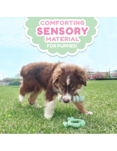 Anillo de Masticar para Cachorros Nylabone Sabor Pollo 15.2cm