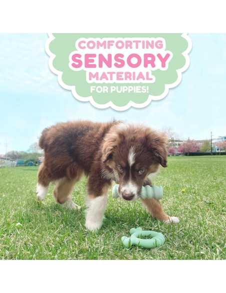 Anillo de Masticar para Cachorros Nylabone Sabor Pollo 15.2cm