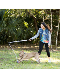 Polo de Coqueteo V2 Squishy Face Studio - Juguete para Perros 91 cm 2